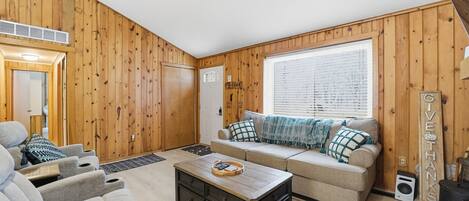 Télévision, cheminée, jeux vidéo, lecteur de DVD