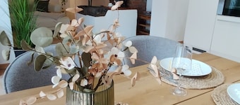 Vacation apartment in historic smithy near Lake Laach