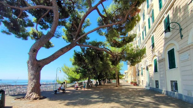 Eine von Bäumen gesäumte Promenade mit Bänken, freier Meeresblick und einem Gebäude im klassizistischen Stil.