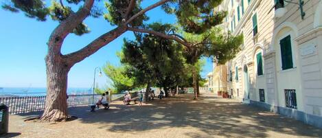 Overnattingsstedets uteområder