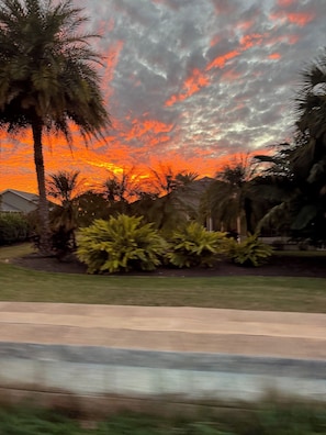 Atardecer con nubes anaranjadas, palmeras y una carretera.