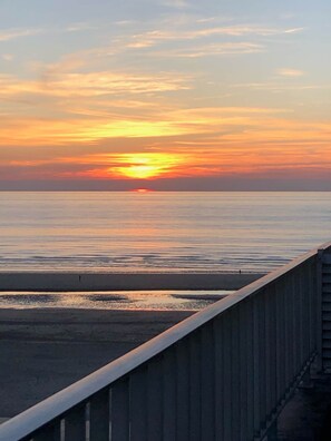 On the beach, sun-loungers - Blue Moon (Sea-Senses) (Koksijde)
