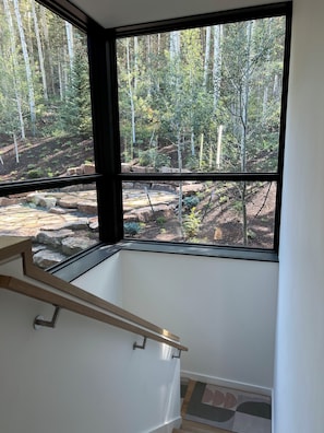 Interior - Stunning adventure home with sauna (Telluride)
