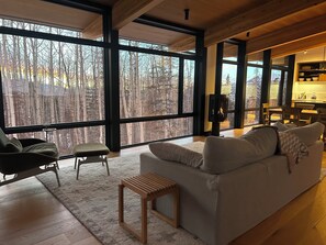 Fireplace, books, stereo - Stunning adventure home with sauna (Telluride)