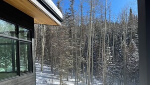 Ein modernes Gebäude mit großen Fenstern mit Blick auf einen verschneiten Wald.