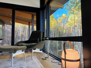 Interior - Stunning adventure home with sauna (Telluride)