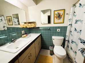 Shower, hair dryer, towels, soap - Mid-Century gem near UF (Gainesville)