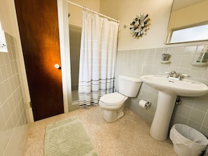 Shower, hair dryer, towels, soap - Mid-Century gem near UF (Gainesville)