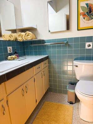 Shower, hair dryer, towels, soap - Mid-Century gem near UF (Gainesville)
