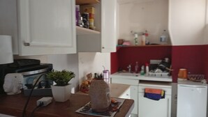 A kitchen with white cabinets, a countertop with a plant, a kettle, and various kitchen items. - Renting a room in a 2 room apartment (Paris)