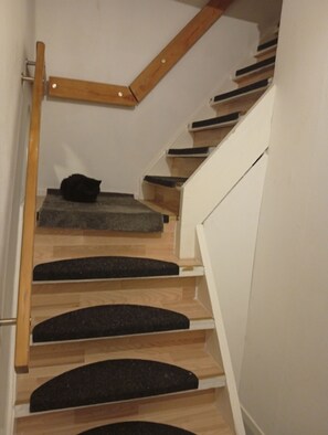 Una escalera con escalones de madera y alfombras corridas negras, que lleva a una plataforma.