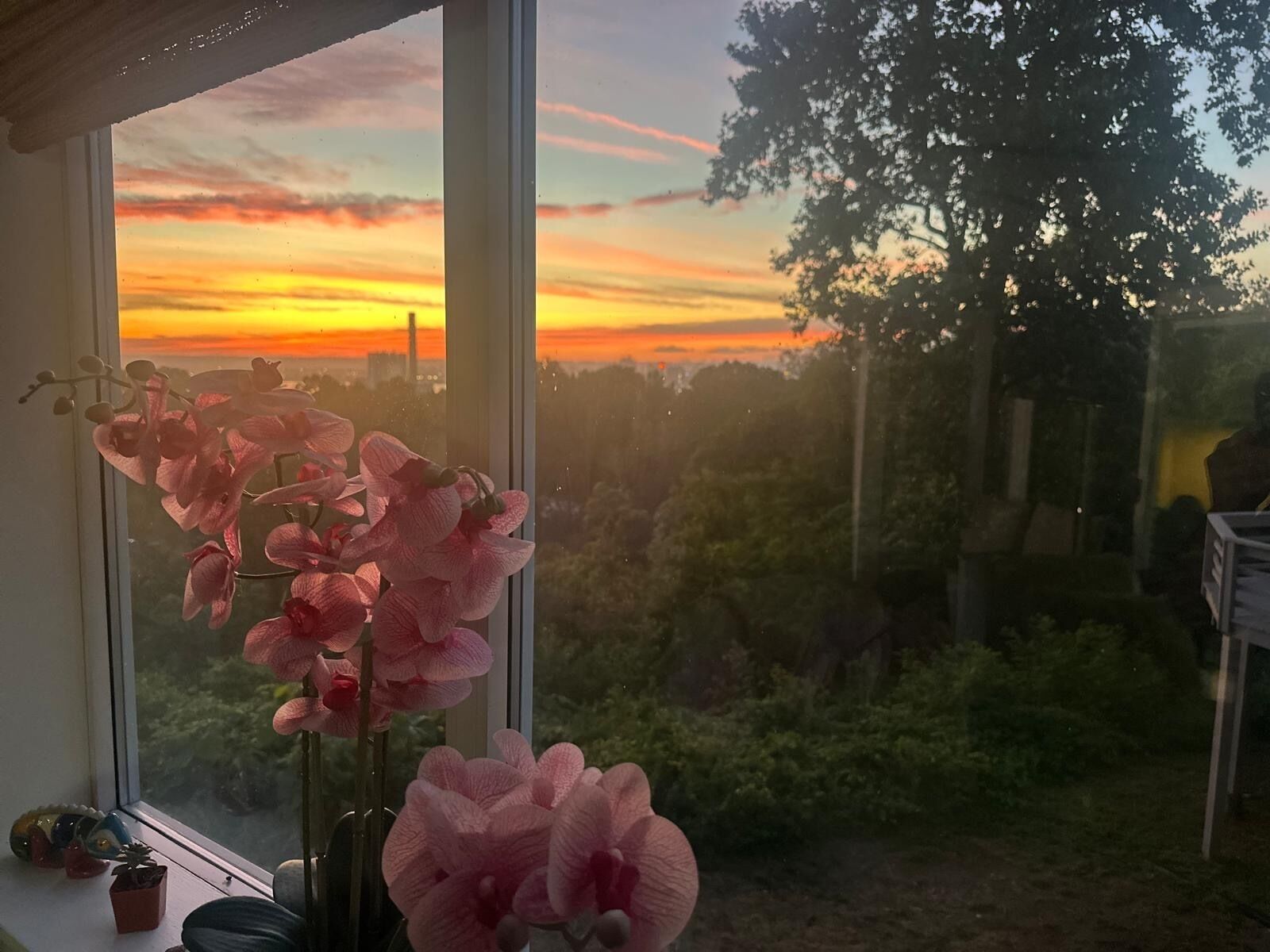 Vista dalla struttura