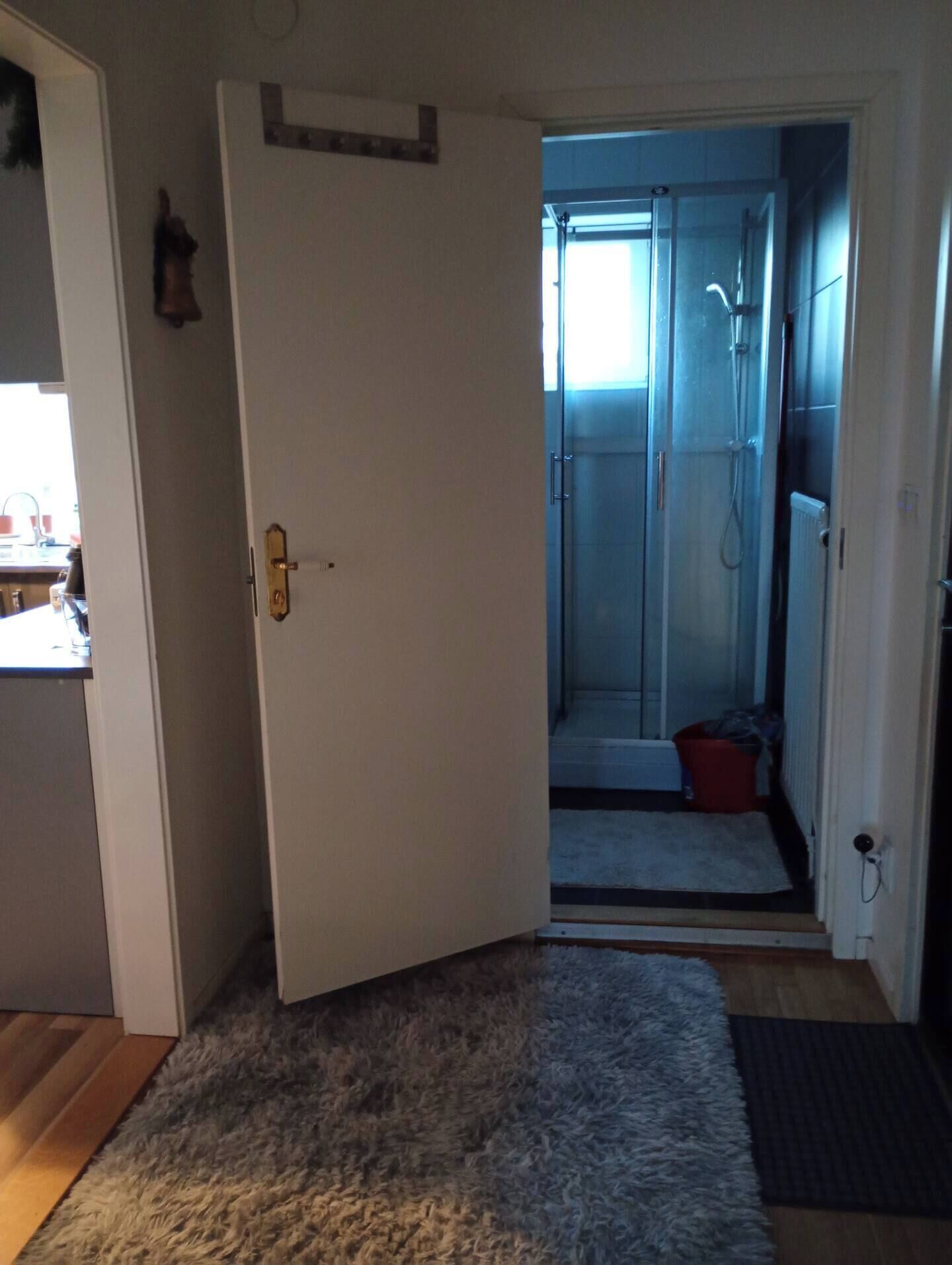 シャワー、タオル、石鹸、トイレットペーパー