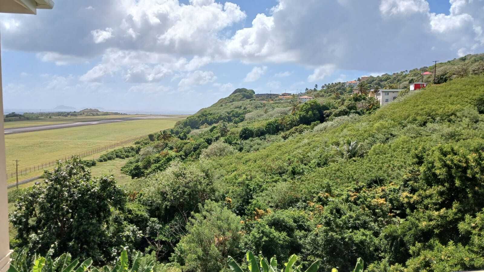 Un paysage verdoyant et luxuriant, avec une route et des bâtiments en arrière-plan.