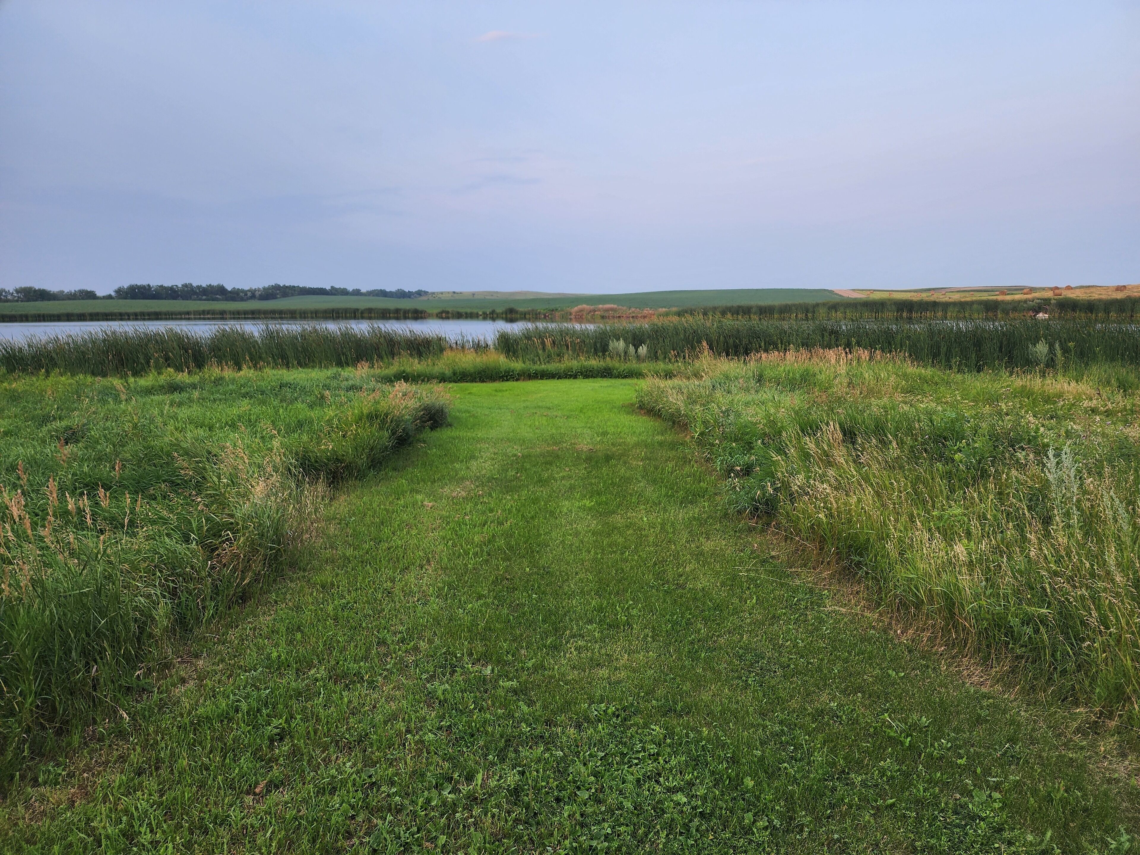 A grassy path leading to a body of water with a clear sky above.