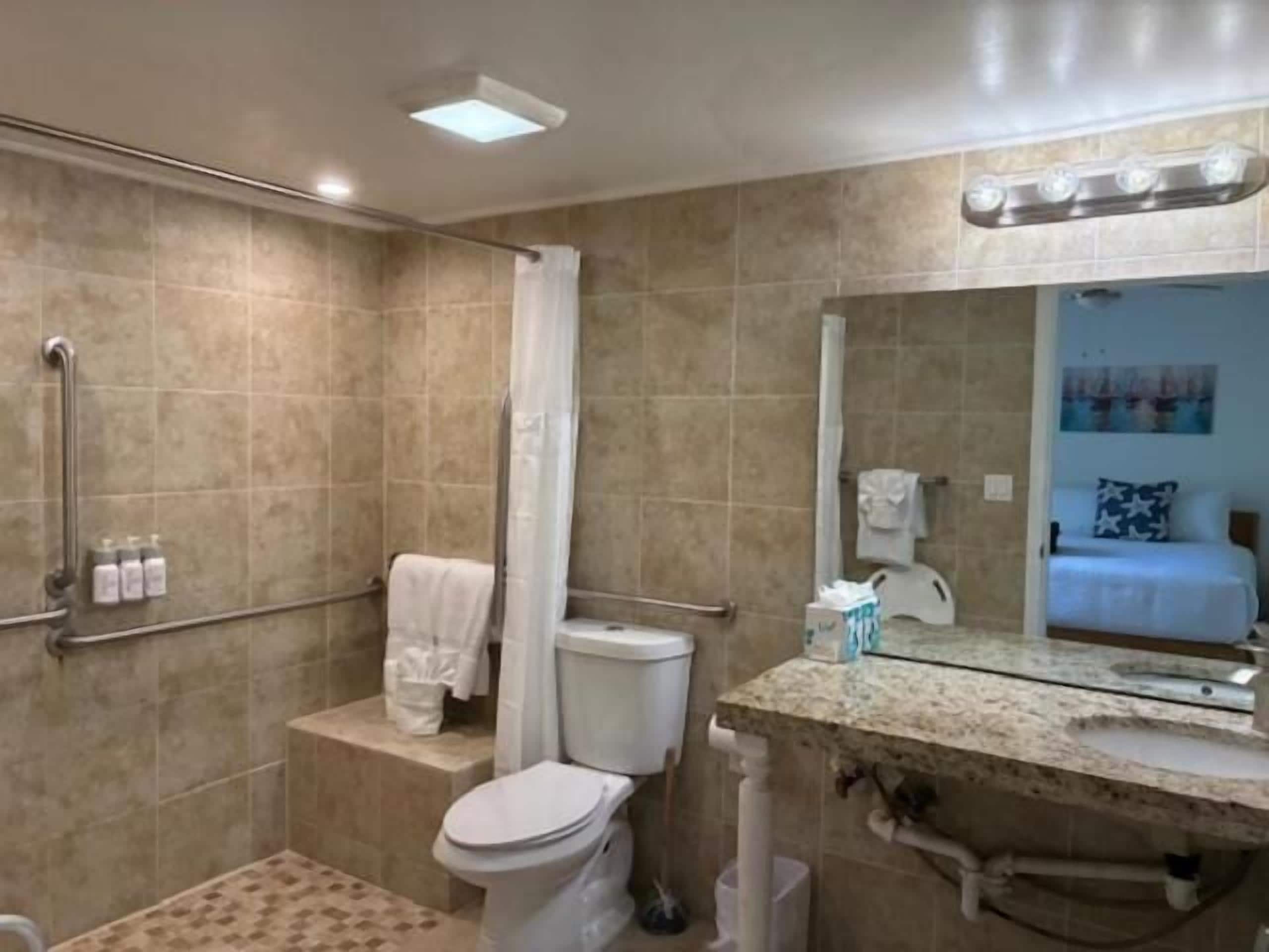 Suite | Bathroom | Free toiletries, hair dryer, towels, soap