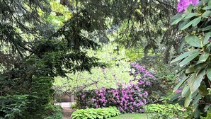 A garden pathway with a brick surface, surrounded by lush greenery and flowering plants. - Historic Kugler Cottage, built 1871, Charming 5-Bedroom Stay (Oil City)