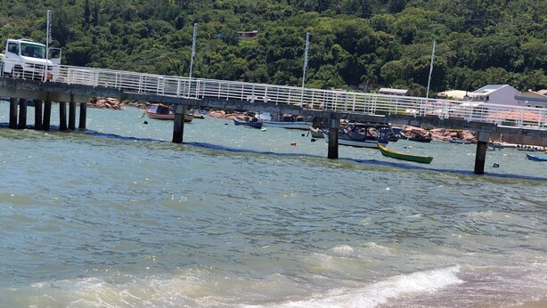 Una platja amb un moll que s'endinsa a l'aigua, vaixells amarrats al moll, i un turó boscós al fons.