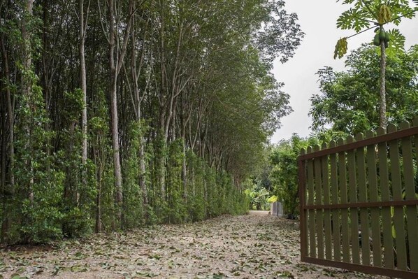 Property grounds - Baan Aree Villa (Krabi)