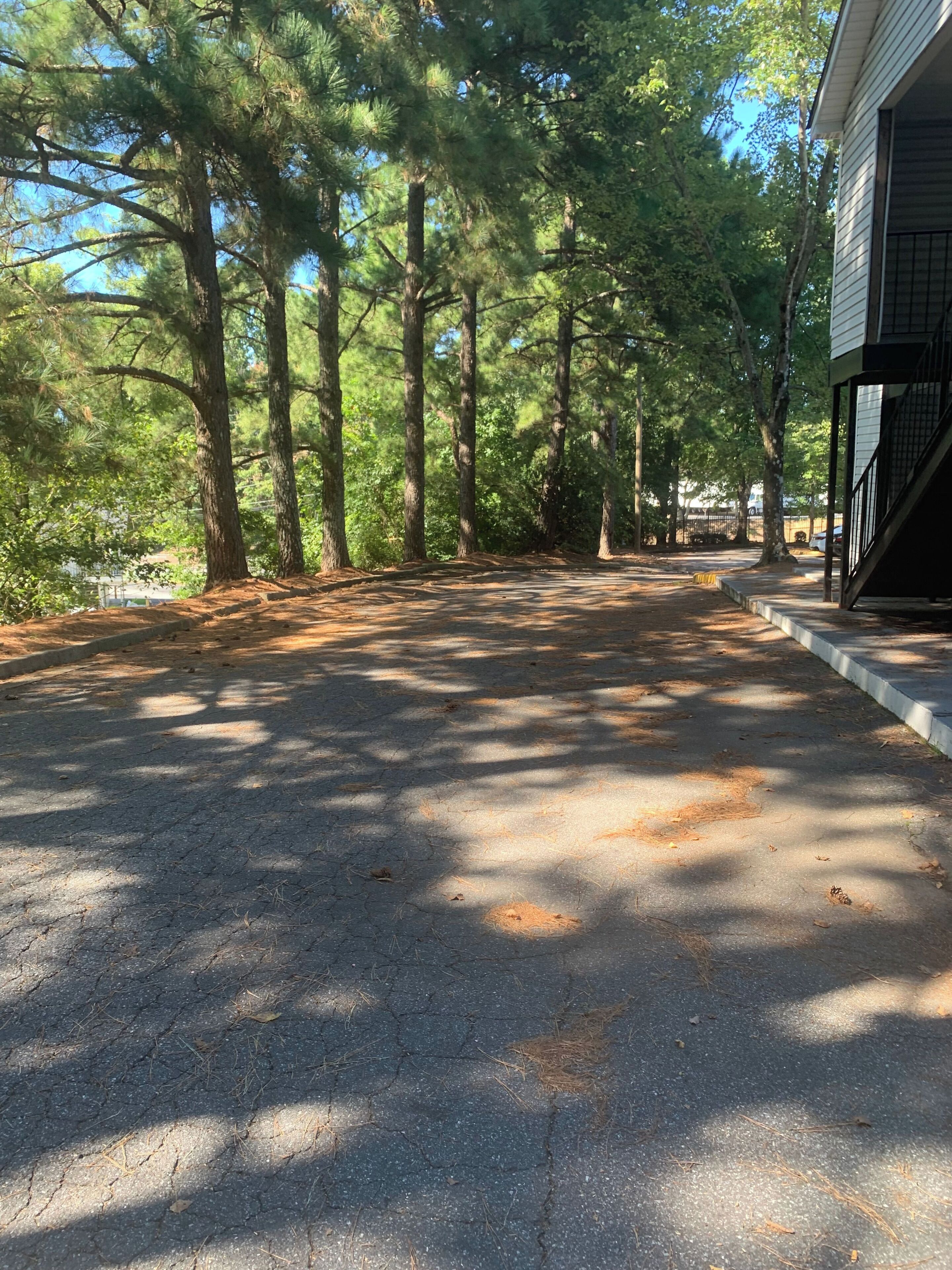 Studio | Property grounds