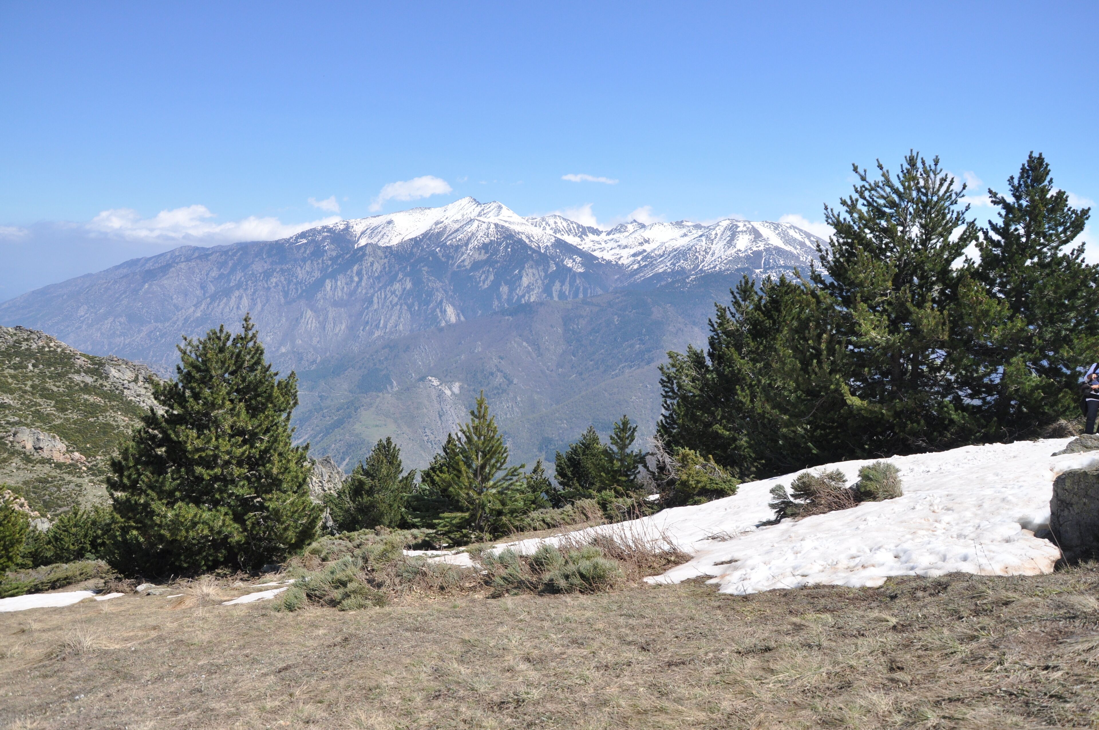 A mountainous landscape with snow-covered peaks and evergreen trees.
