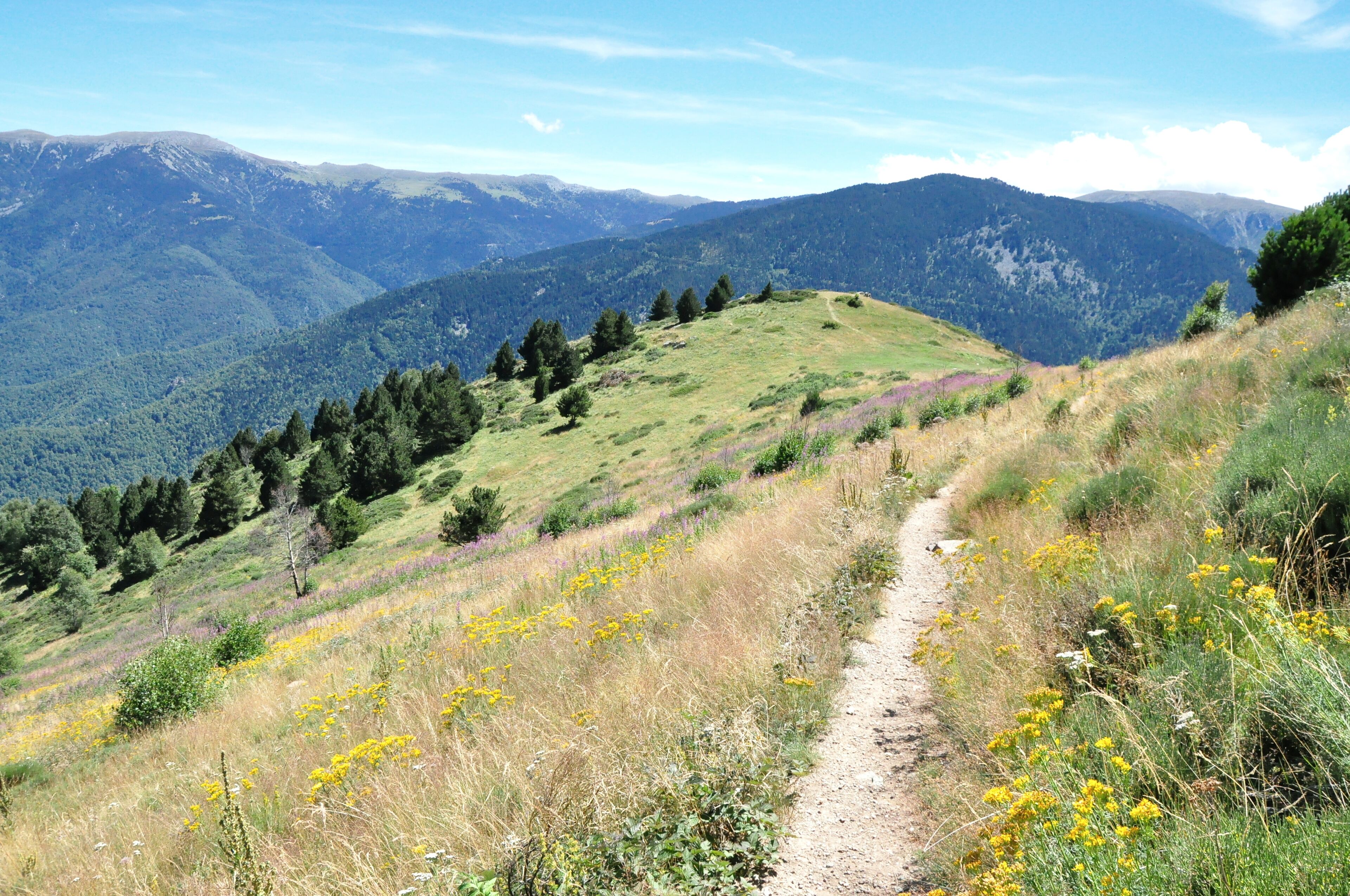 A mountain trail with a clear path, surrounded by green hills and distant mountains.