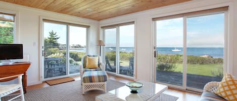 Televisión y chimenea