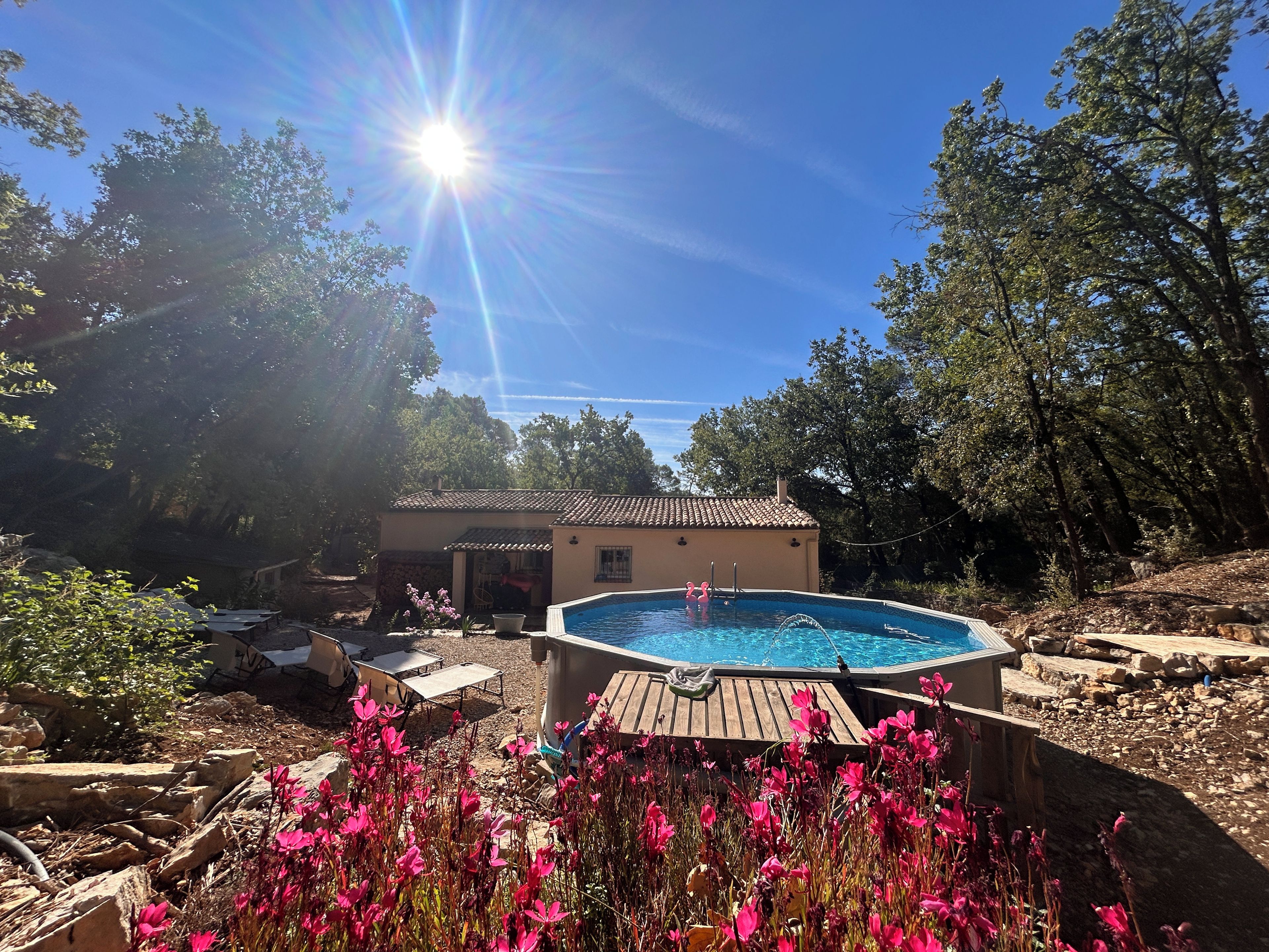 Une piscine dotée d’une terrasse en bois, entourée de fleurs roses et d’arbres.