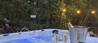 Maison familiale Climatisée avec PISCINE et SPA. Au bord de la foret.