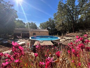 Ein Swimmingpool mit zwei rosa Flamingos, umgeben von pinken Blumen und Bäumen.