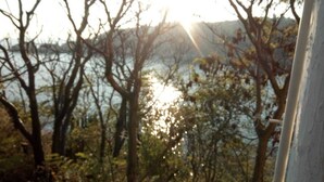 A view of a lake with trees in the foreground and a mountain in the background. - Casa Wow "Blue Apartment," where you will wake up to incredible views! (Puerto Ángel)
