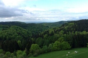 Miscellaneous - Vacation apartment with panoramic views in the Hochharz - peace, comfort & leisure fun (Braunlage)