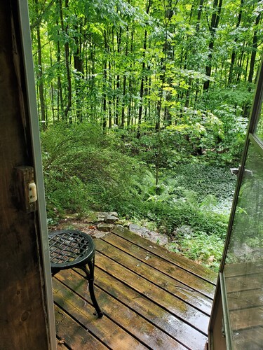 Forest Retreat - Private detached guest suite with Starlink WiFi