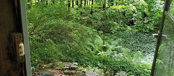 Forest Retreat - Private detached guest suite with Starlink WiFi