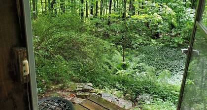 Forest Retreat - Private detached guest suite with Starlink WiFi