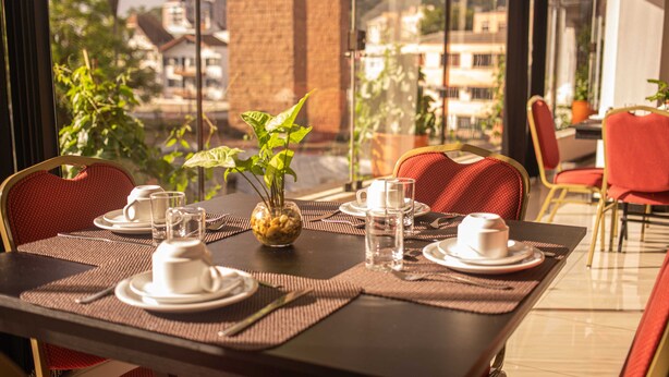 A dining table set with plates, cups, and a vase with a plant, overlooking a cityscape.