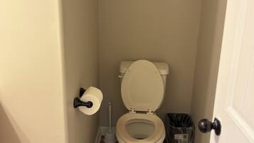 Jetted bath, towels, soap, toilet paper