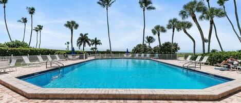 A rectangular swimming pool with a tiled deck, surrounded by palm trees and lounge chairs.