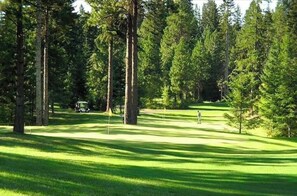 Golf - 2-bedroom 1 loft cabin in delightful Cle Elum with cozy fireplace sleeps 6-7 (Cle Elum)