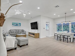 Smart TV, fireplace, books