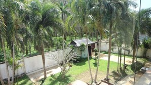 Vista de un patio con palmeras, un cobertizo pequeño y una piscina.