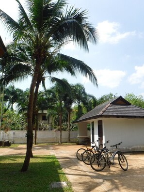 Una casa pequeña con un patio empedrado, dos bicicletas estacionadas afuera y una palmera al frente.