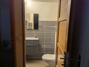 Lyxigt dubbelrum - 1 dubbelsäng - utsikt mot staden | Badrum | Dusch, hårtork, handdukar och toalettpapper