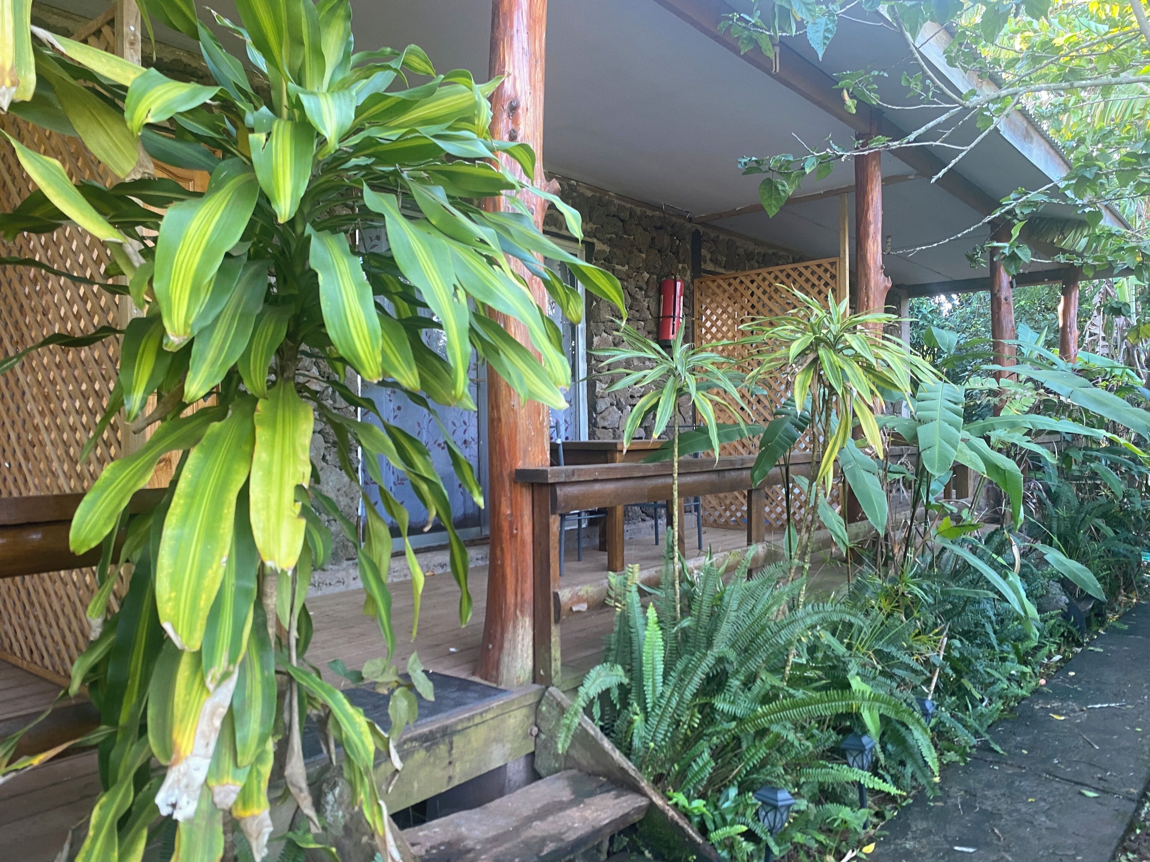 Un espace extérieur abrité, doté de poutres en bois, d’un mur en pierre et de diverses plantes vertes.