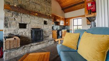 TV, fireplace, computer monitors