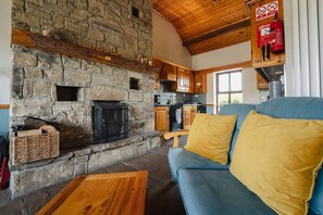 TV, fireplace, computer monitors