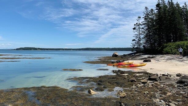 Una costa rocosa con kayaks y zona boscosa.