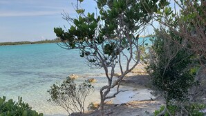 A beach with clear turquoise water, sandy shore, and green vegetation. - Bed and Beach - Newly Renovated Studio on the Beach near February Point Exuma (George Town)