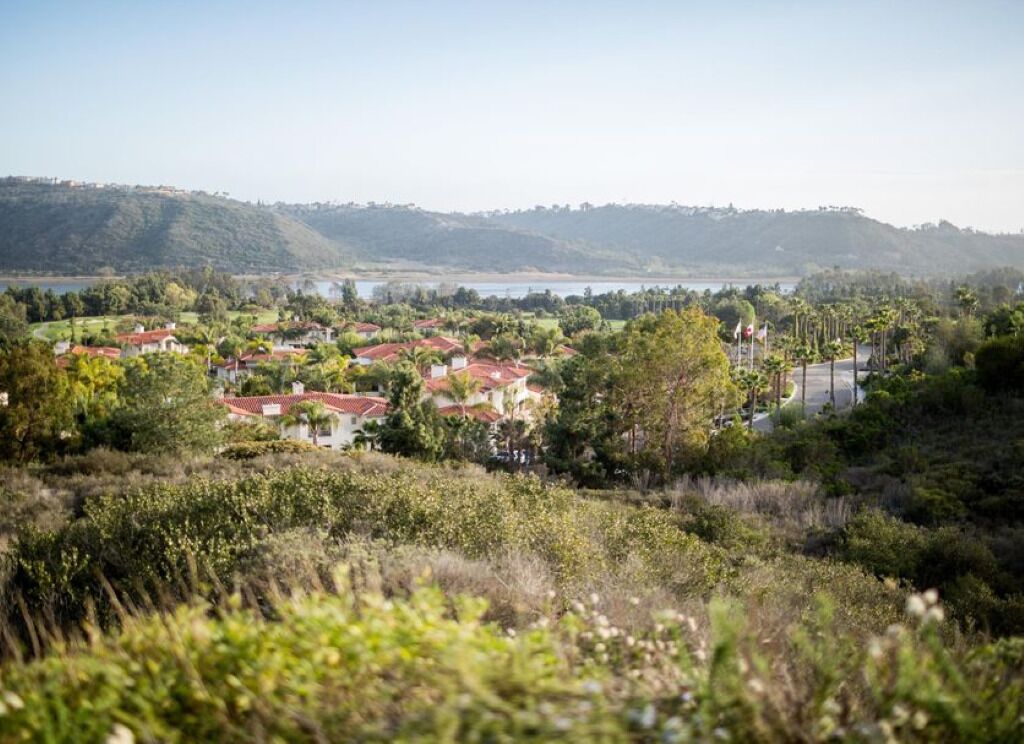 A residential area with houses, a road, and a body of water in the background.