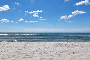 A beach with waves, a clear sky, and two birds flying. - Turtle Bay at WindMark Beach | Golf Cart, Bikes, Pools & Beach Gear (Port St. Joe)